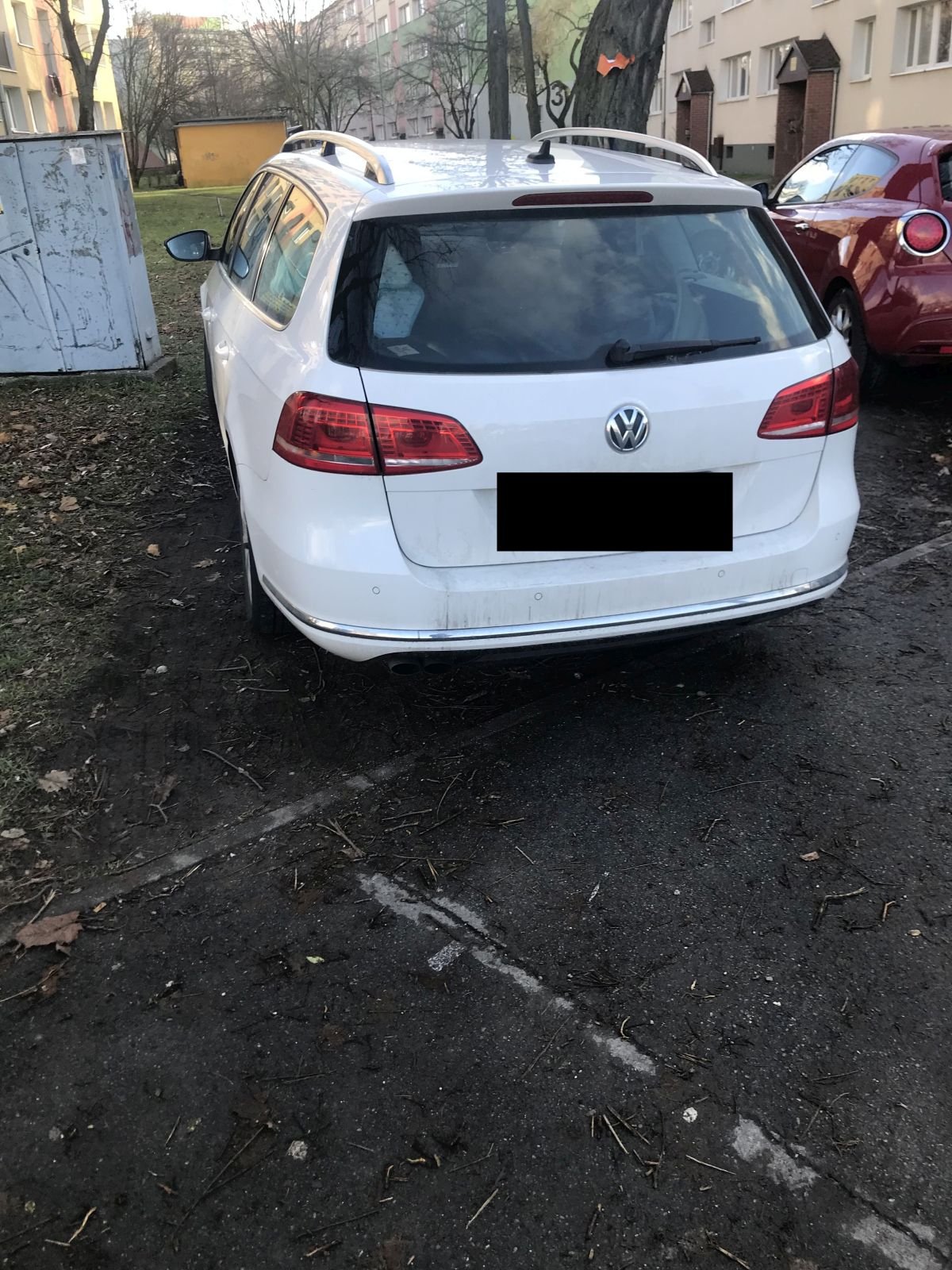dziki-parking-101625