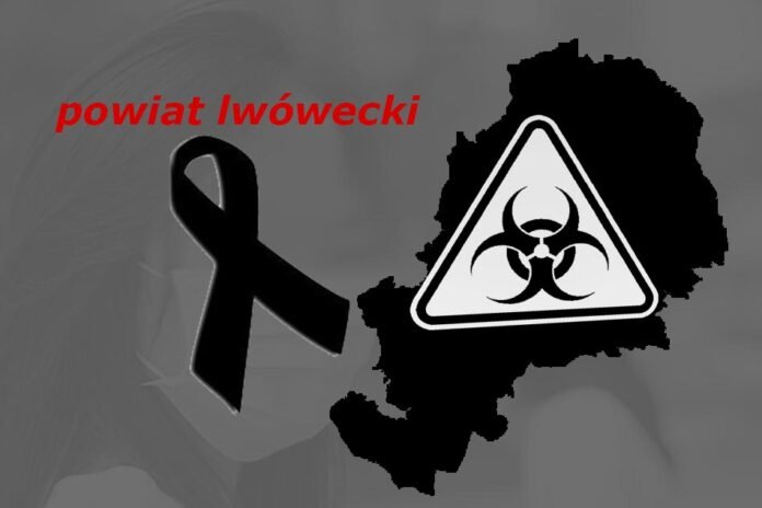 covidowa-statystyka-101798