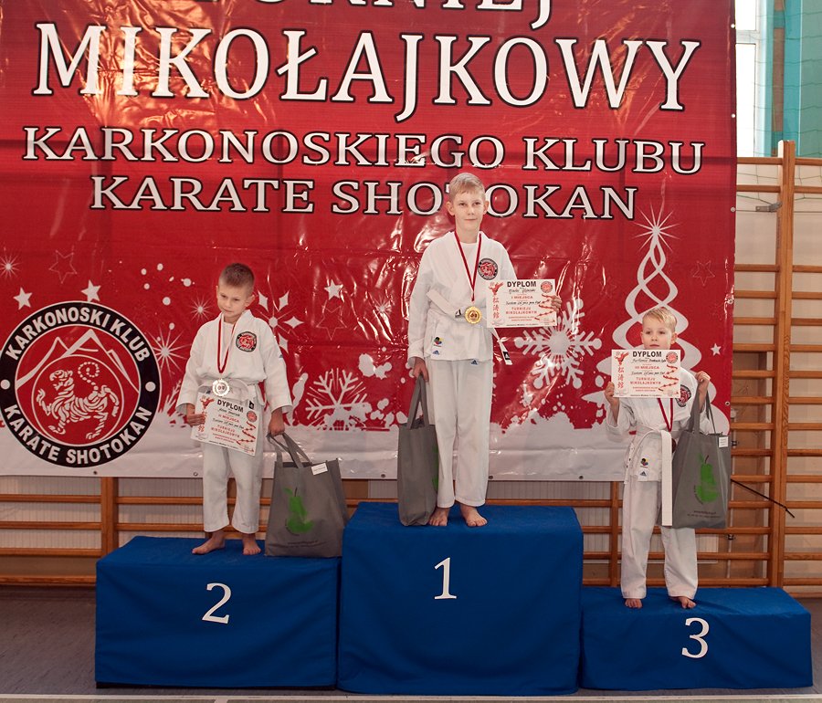 mikoajkowy-turniej-adeptow-sztuk-walki-101805