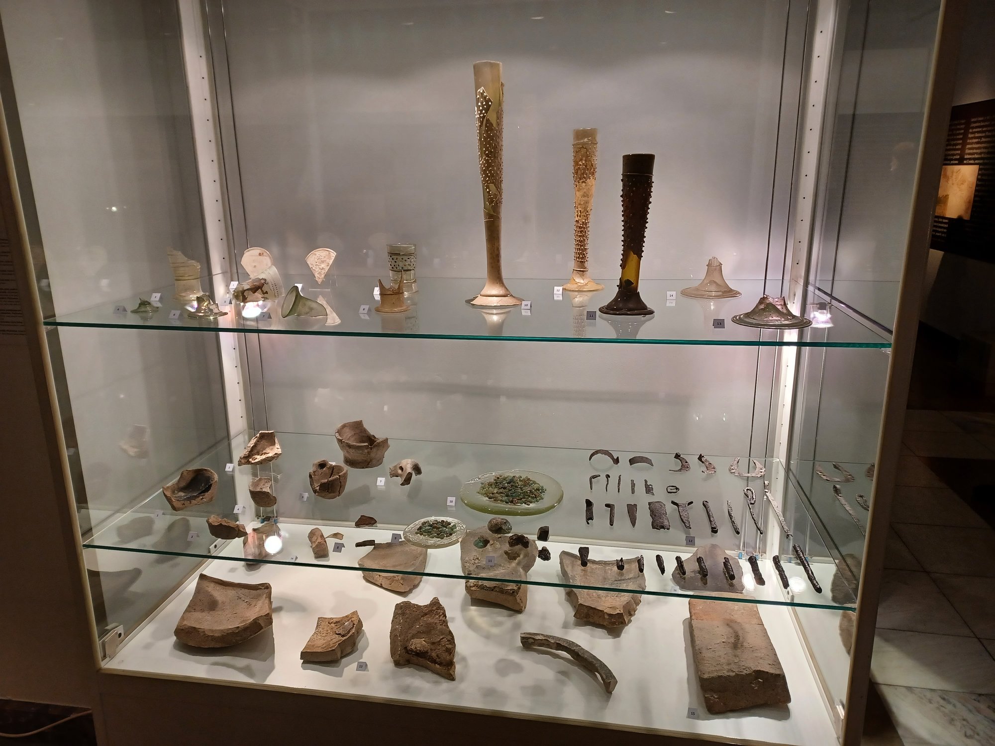 przewodnicy-sudeccy-w-muzeum-karkonoskim-101890