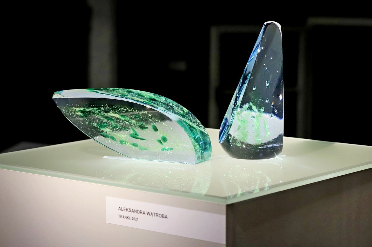 transgresja-w-muzeum-karkonoskim-102081