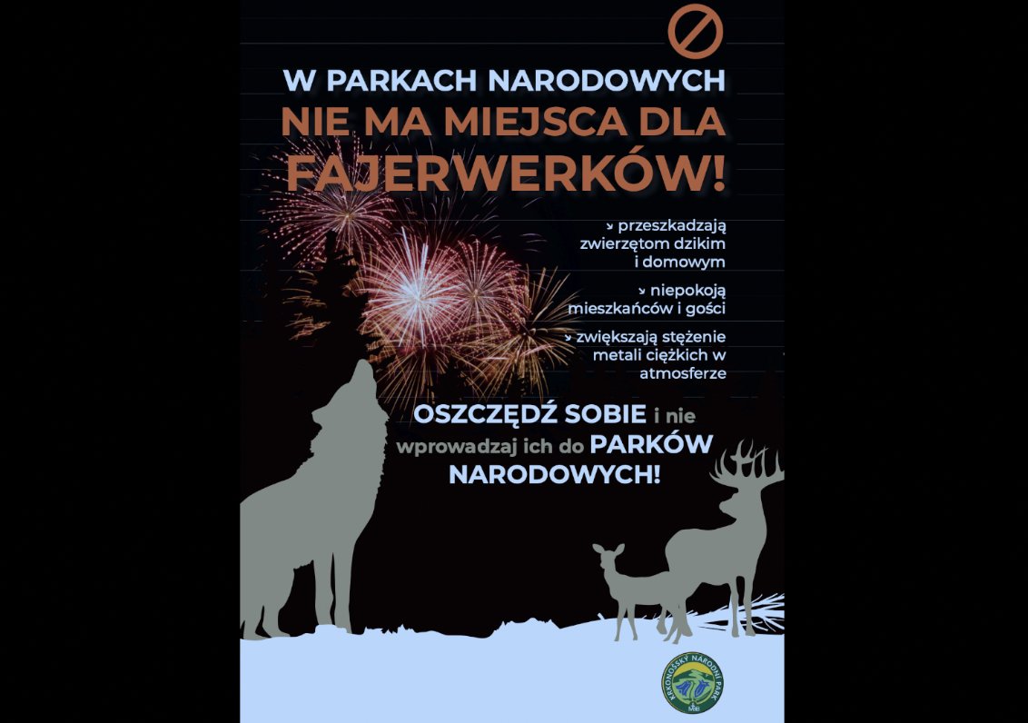 kpn-apeluje-o-zabawe-sylwestrowa-bez-fajerwerkow-102148