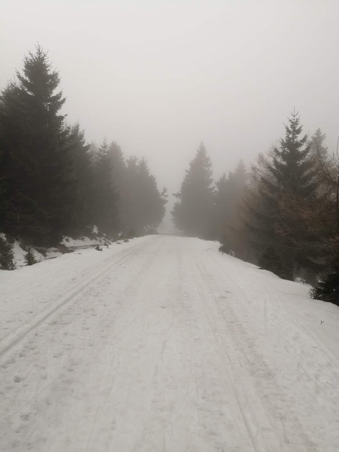 odwilz-w-jakuszycach-102204