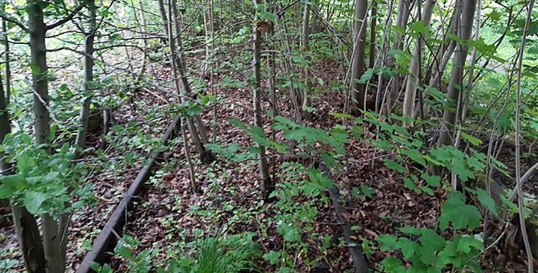 nik-krytycznie-o-rewitalizacji-kolei-102339