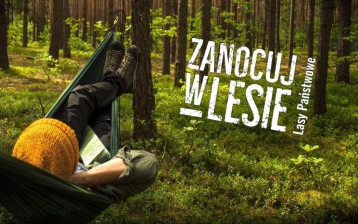 mozna-zanocowac-w-lesie-102363