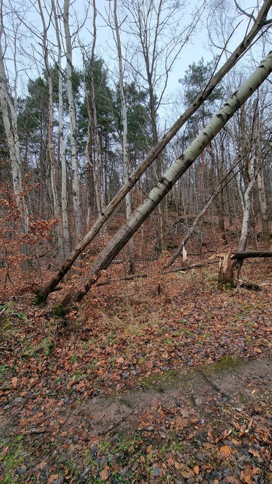 niebezpieczna-sciezka-102468