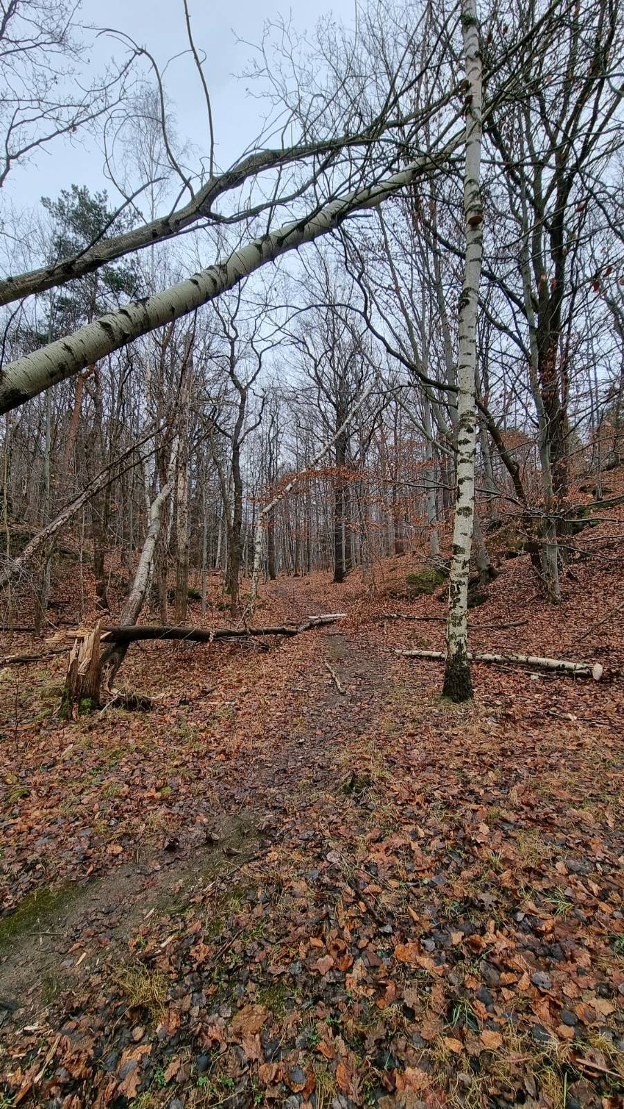 niebezpieczna-sciezka-102468