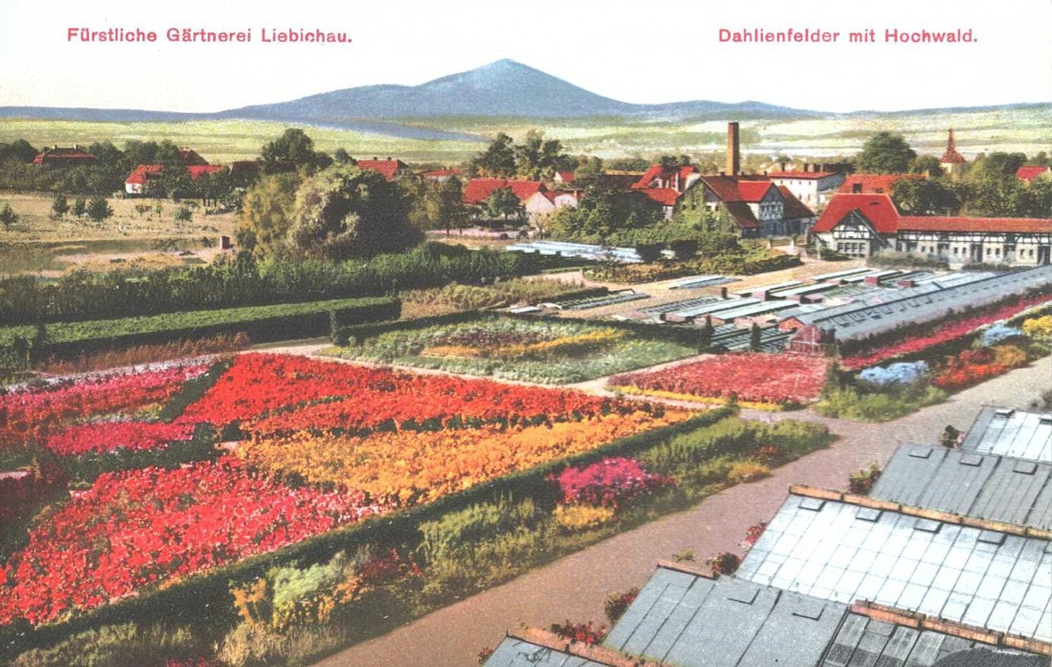 pod-szklanym-dachem-102819