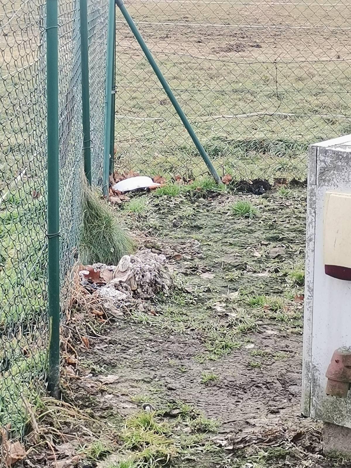 czytelnik-przepompownia-nadal-bez-ochrony-102919