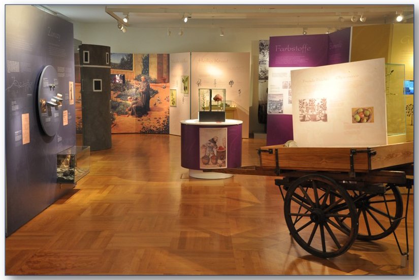 o-wedrowce-gatunkow-w-muzeum-przyrodniczym-102921