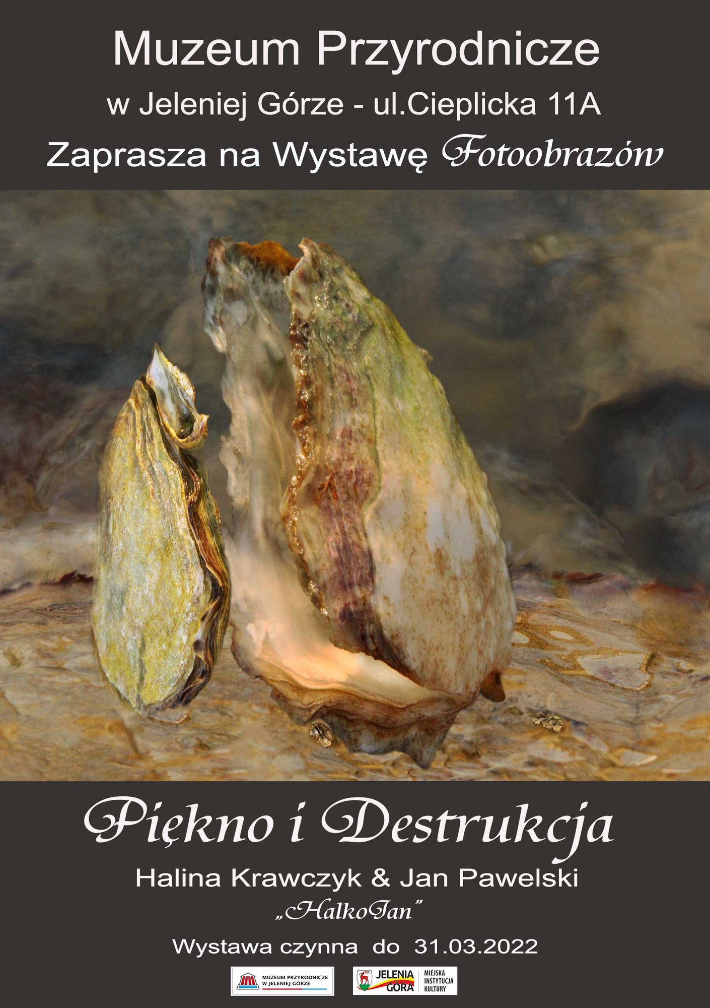 piekno-i-destrukcja-w-muzeum-przyrodniczym-102936