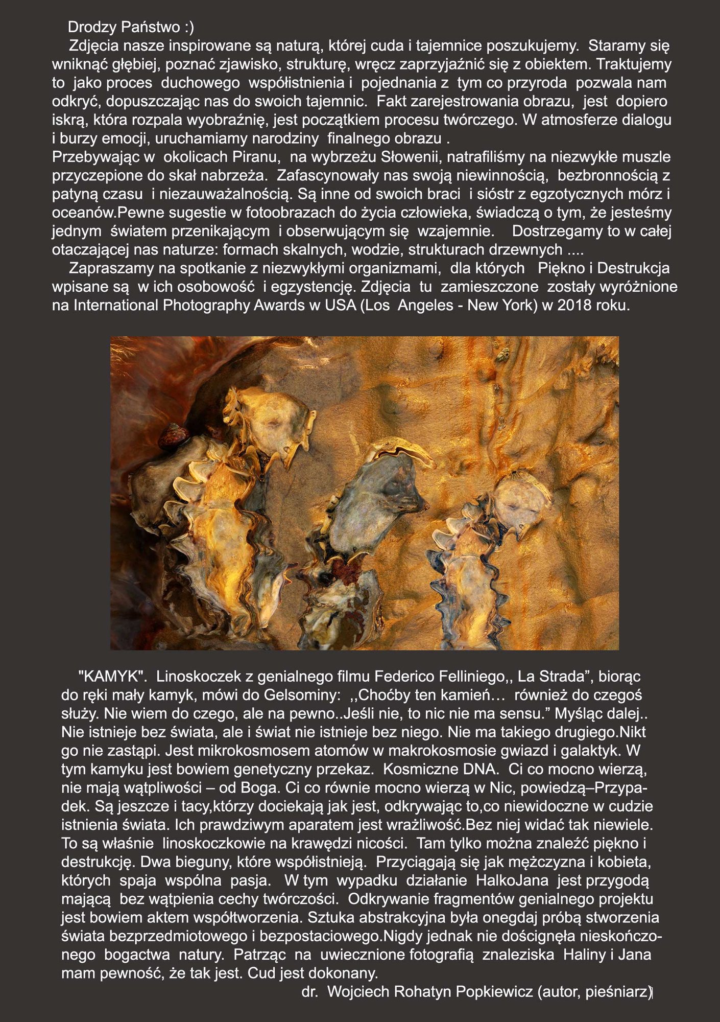 piekno-i-destrukcja-w-muzeum-przyrodniczym-102936