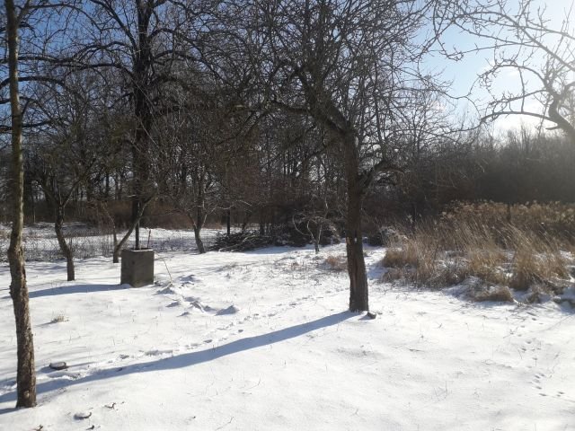 co-u-modych-duchem-103075