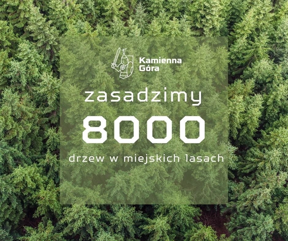 wiosenne-nasadzenia-103123