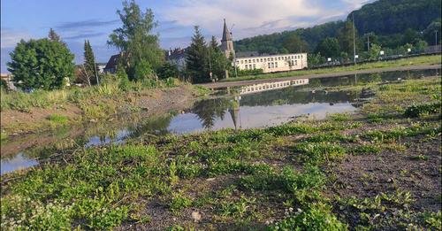 plany-burmistrza-103216