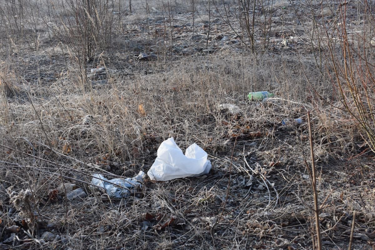 smietnisko-w-byej-papierni-103642