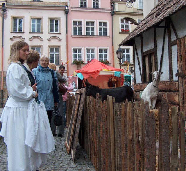 sredniowiecze-i-miecze-10365