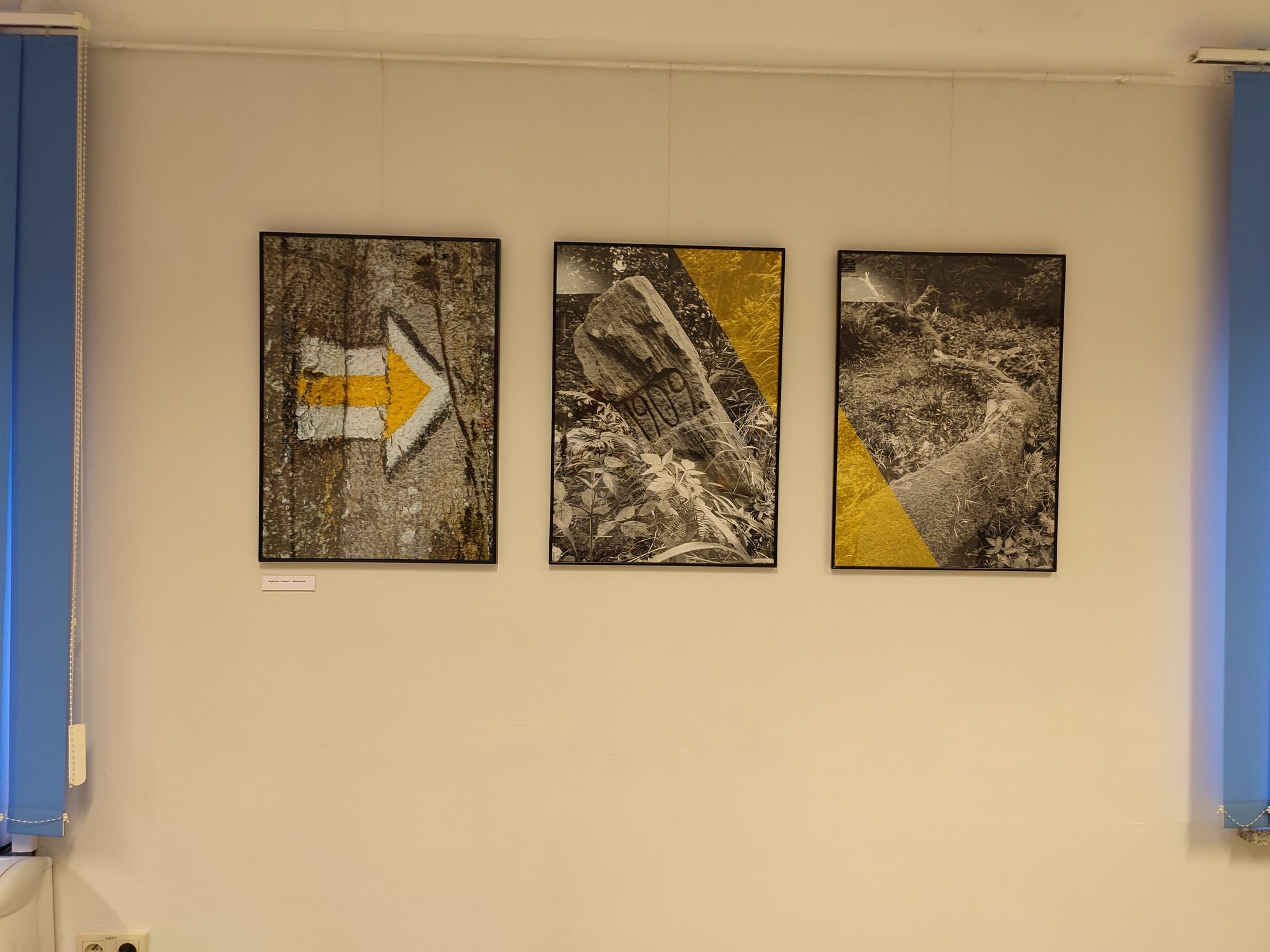 fotografie-w-galerii-na-gorze-103708
