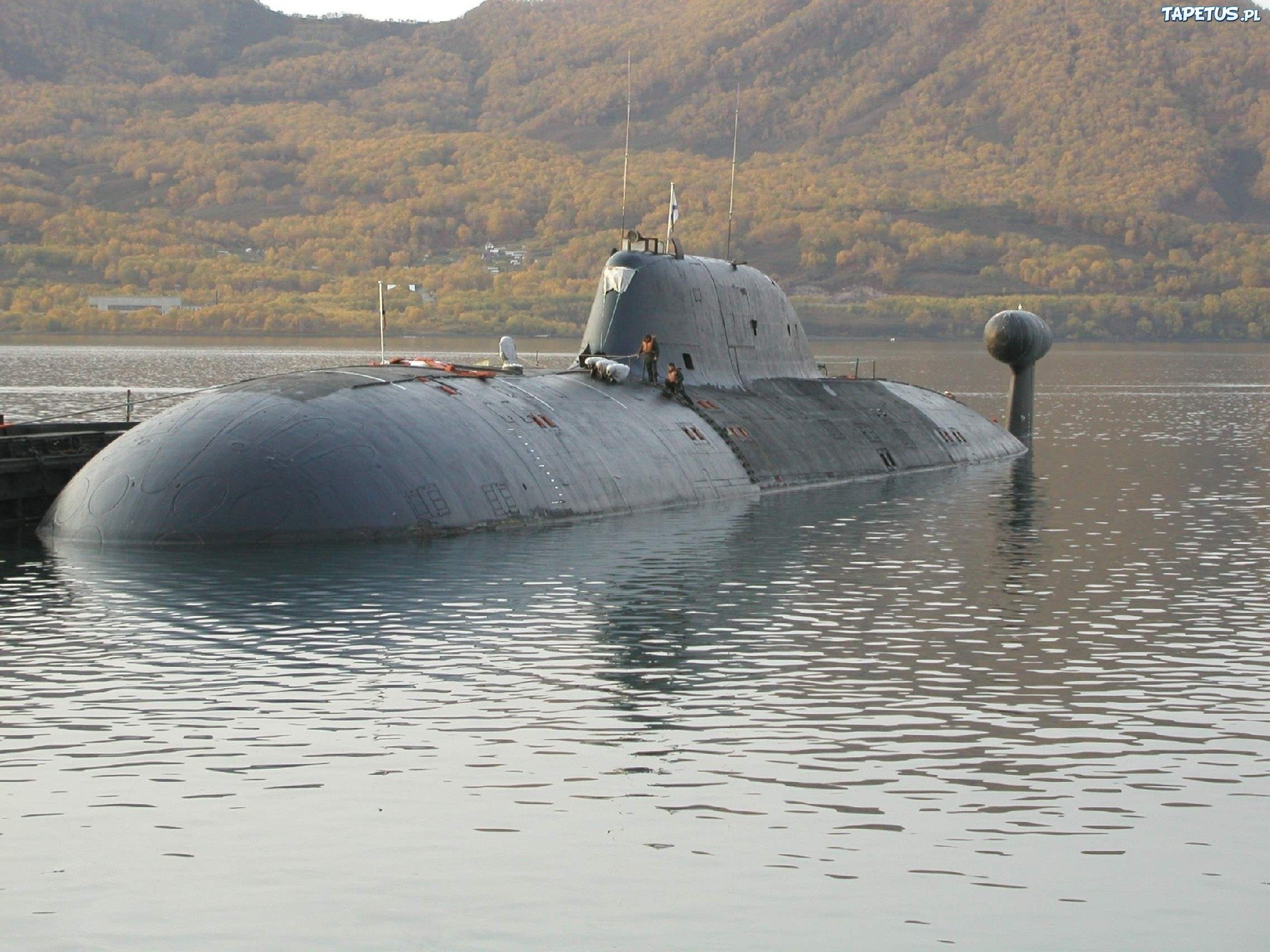 dzien-odzi-podwodnej-103995
