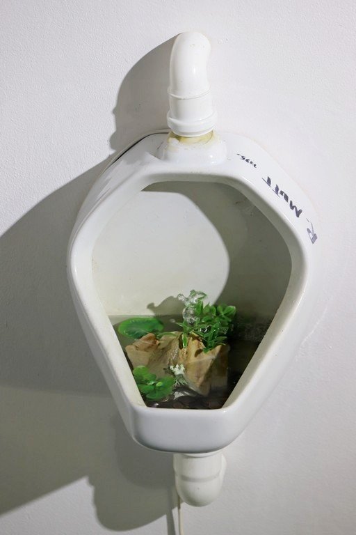wystawa-z-poczuciem-humoru-104075