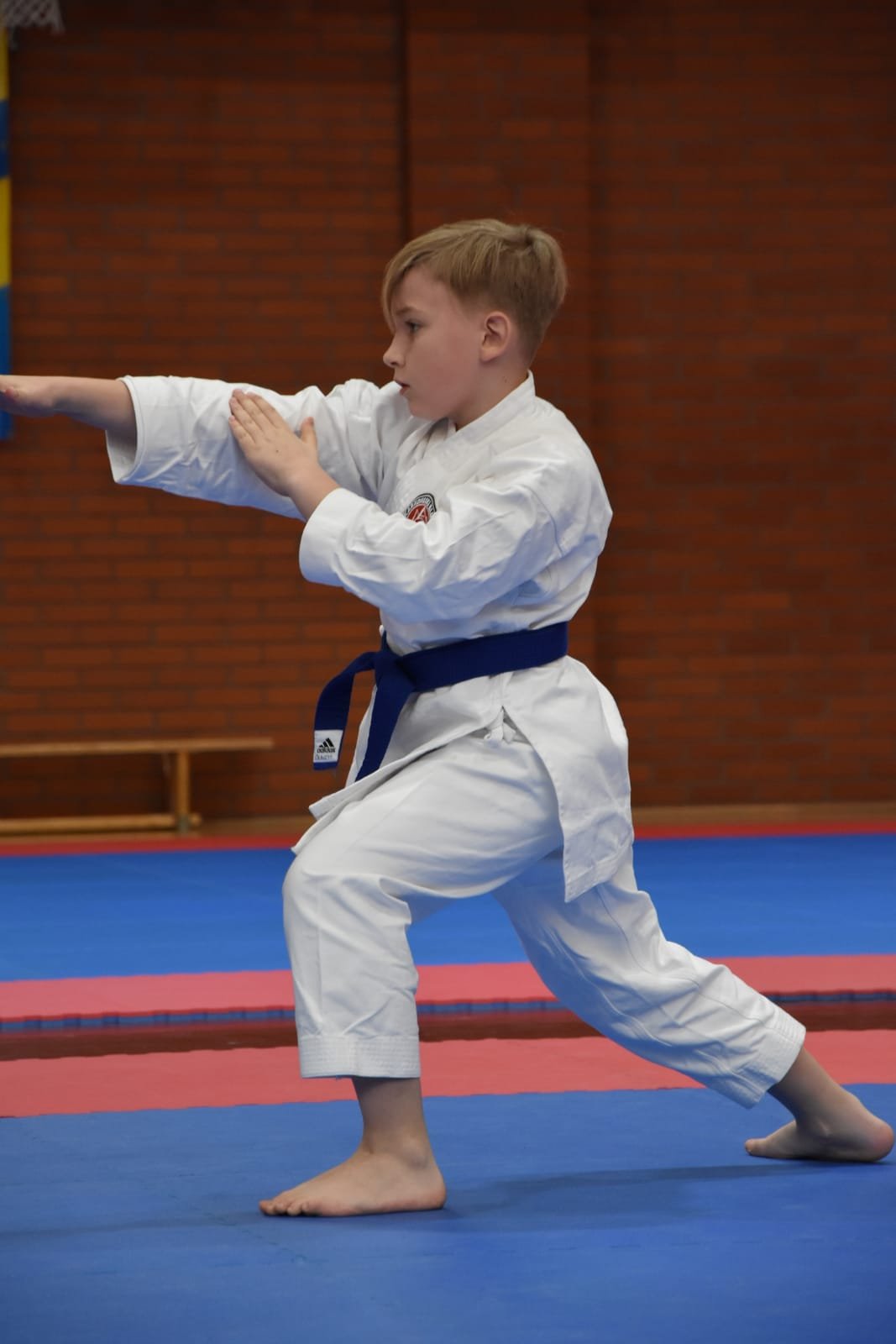 siegneli-po-10-medali-podczas-turnieju-karate-wkf-104129