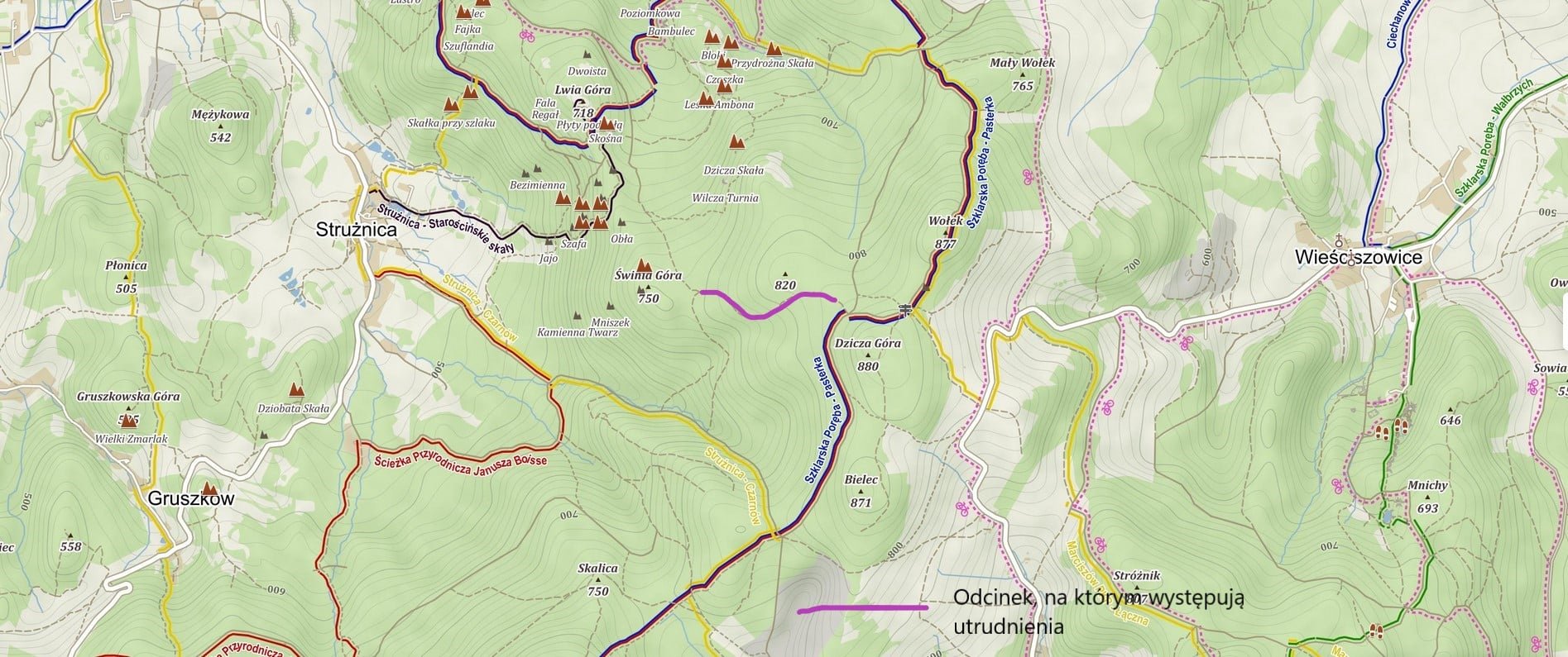 utrudnienia-na-drodze-lesnej-104479