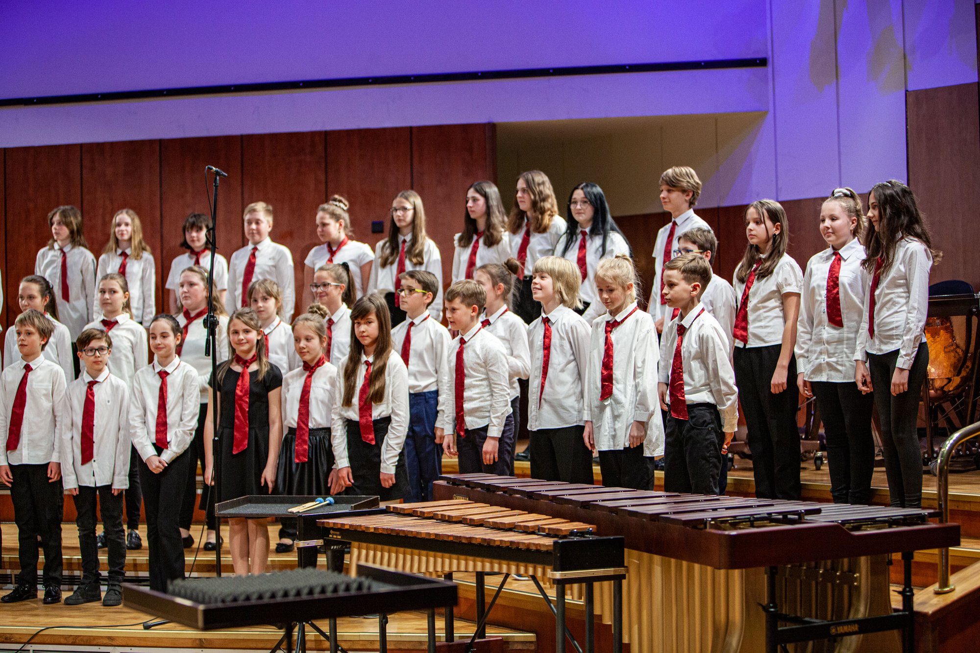 koncert-modych-muzykow-104573