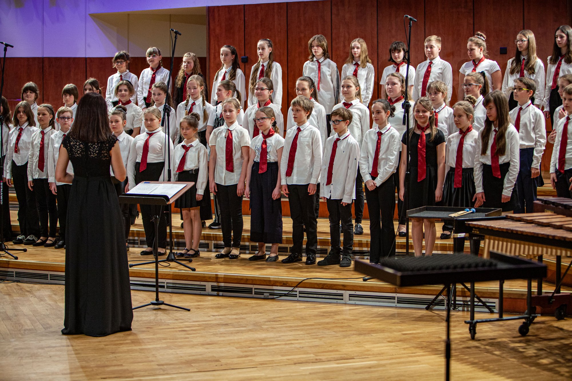 koncert-modych-muzykow-104573