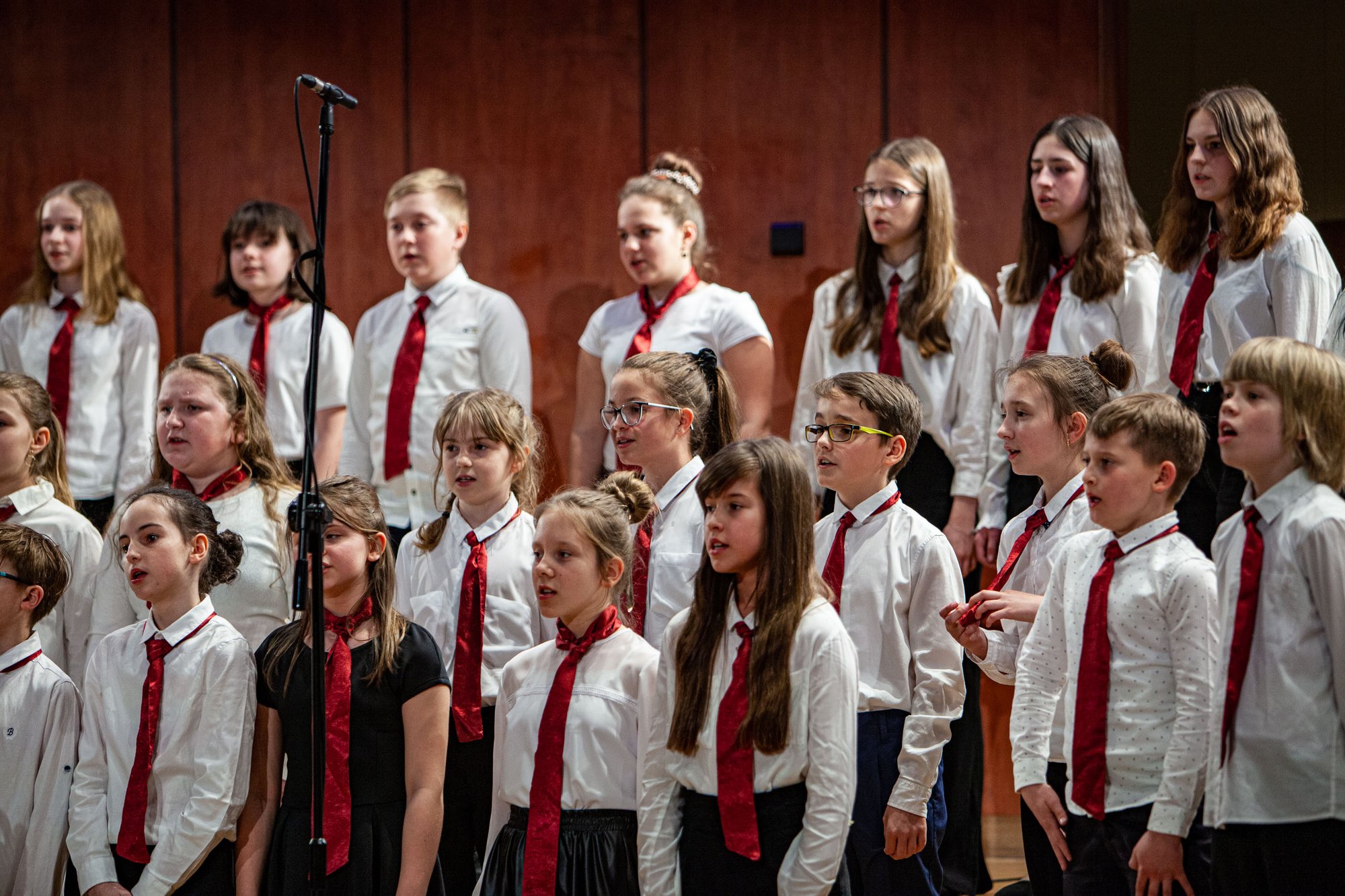 koncert-modych-muzykow-104573