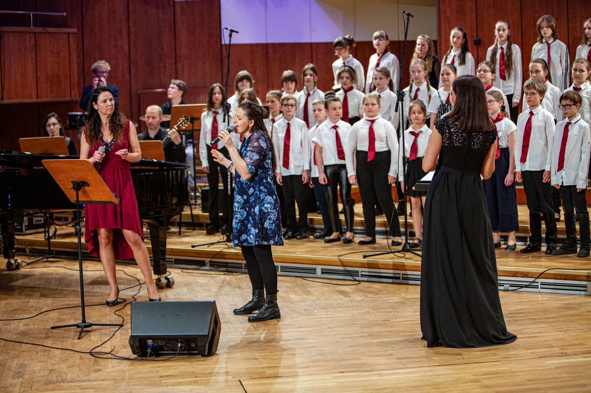 koncert-modych-muzykow-104573