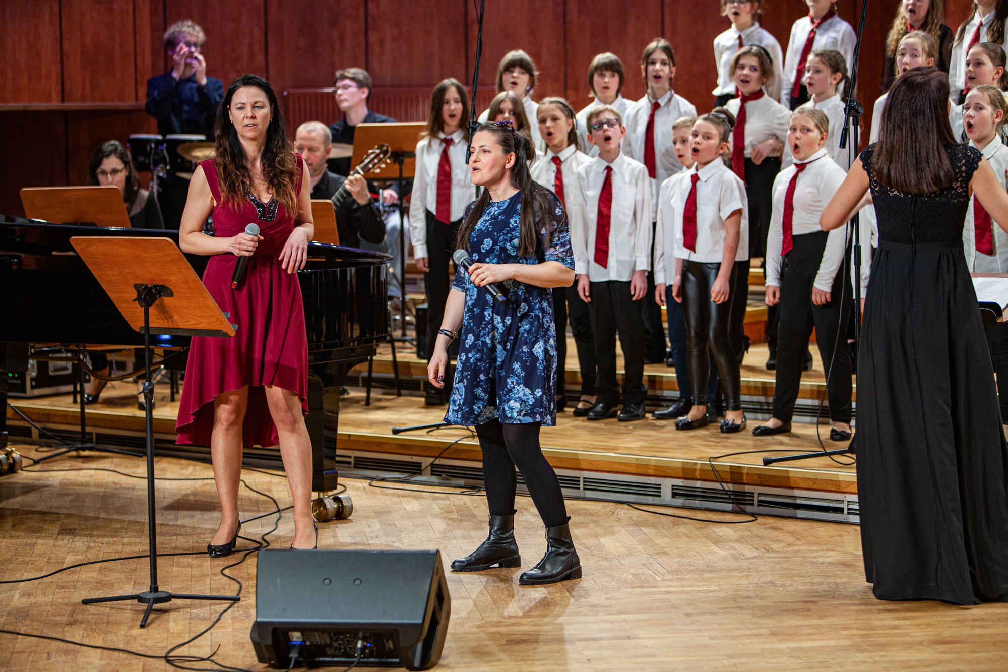 koncert-modych-muzykow-104573