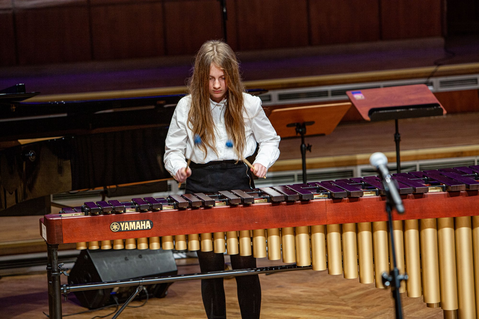 koncert-modych-muzykow-104573