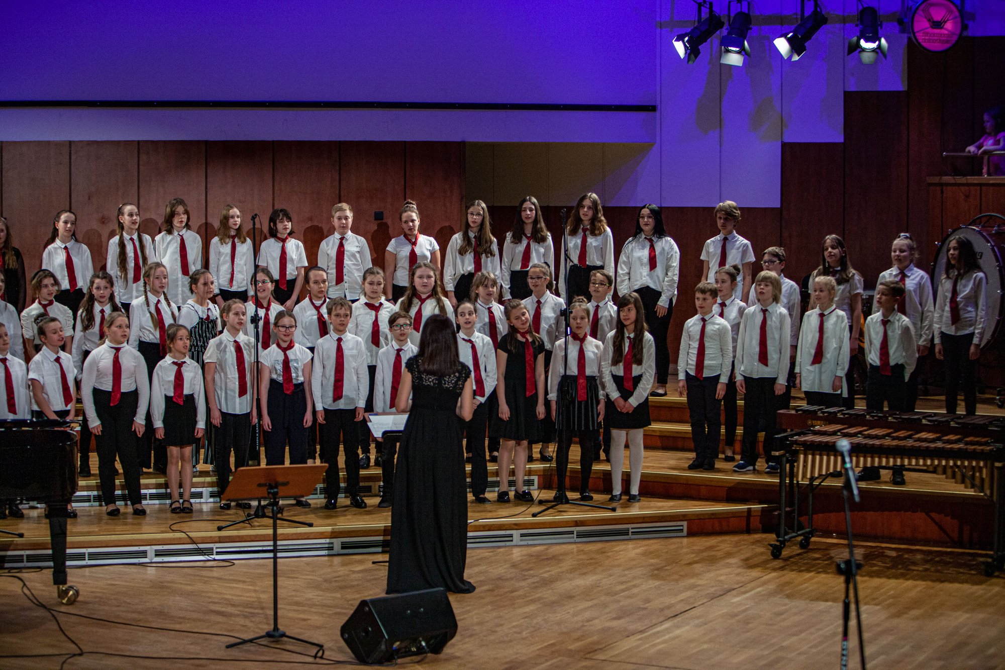 koncert-modych-muzykow-104573