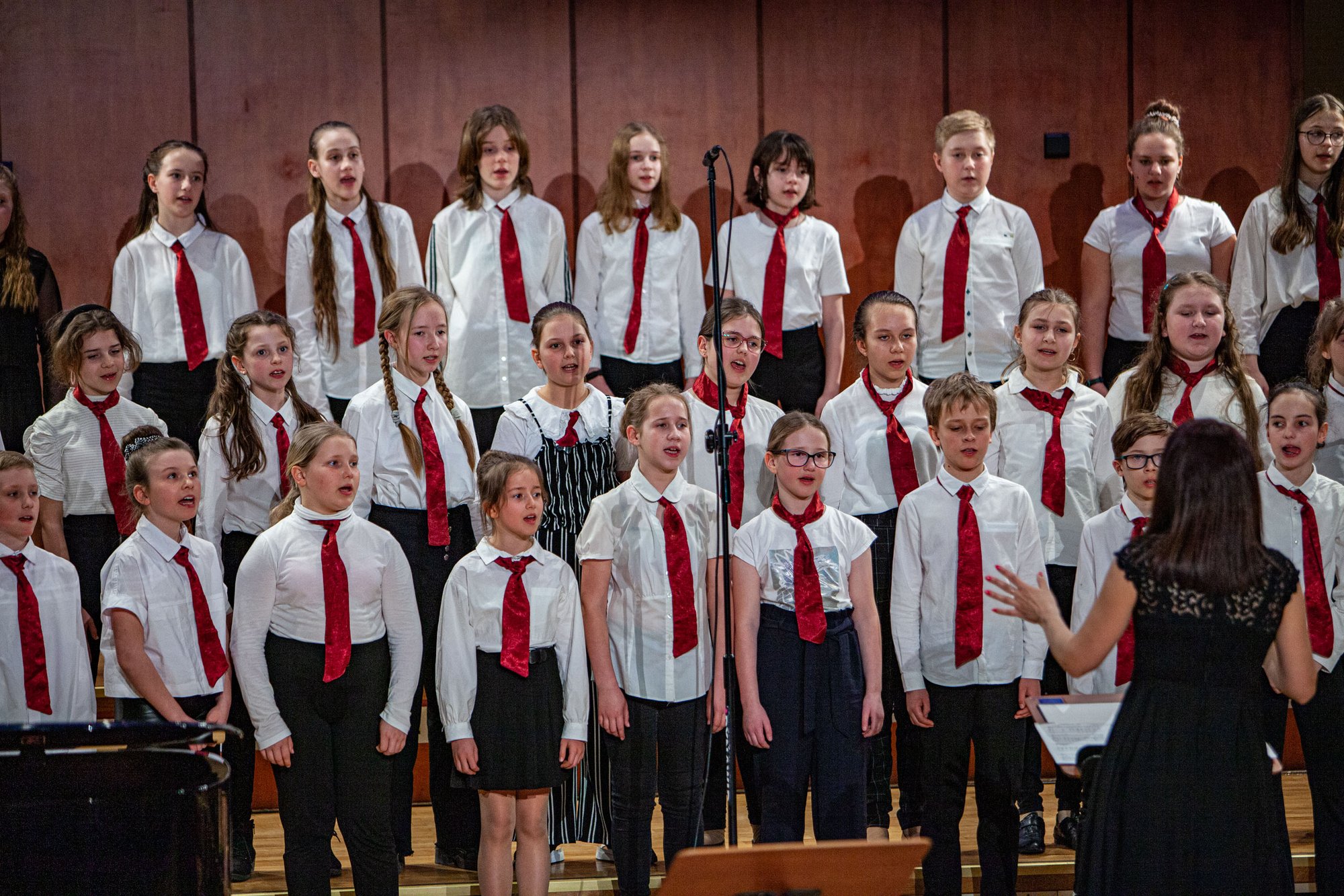 koncert-modych-muzykow-104573