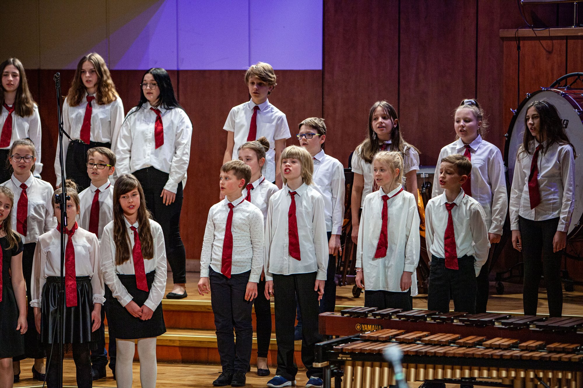 koncert-modych-muzykow-104573