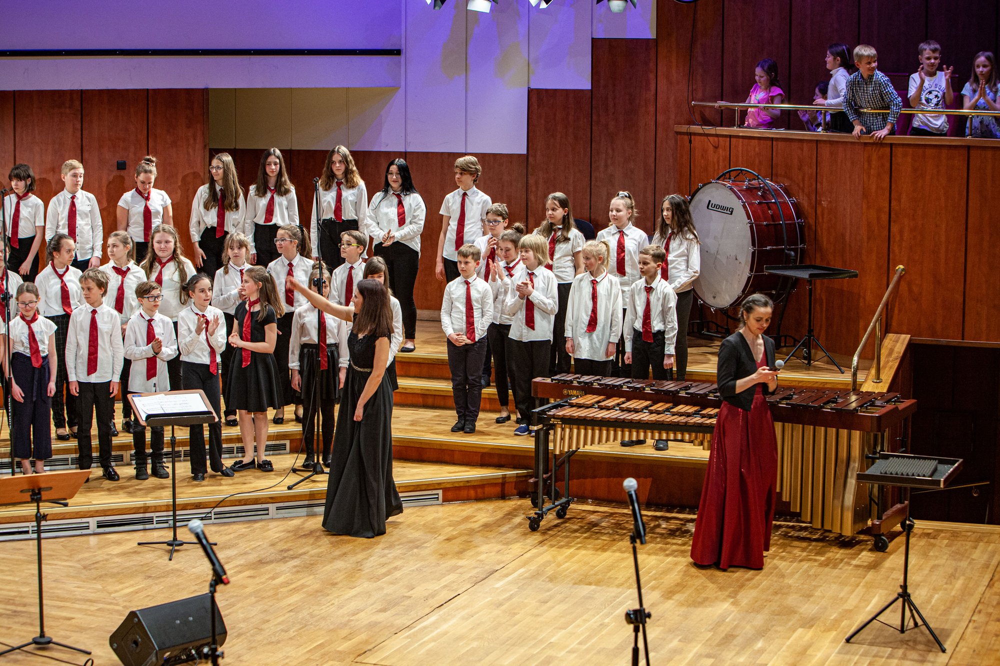 koncert-modych-muzykow-104573