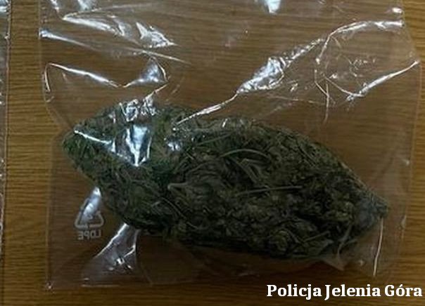 policjanci-znalezli-wascicielke-marihuany-104611