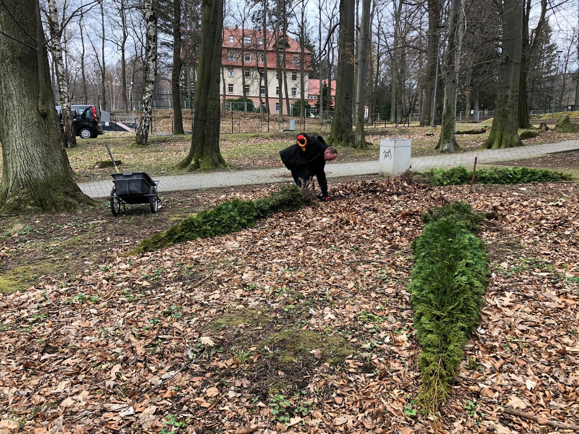 nowe-nasadzenia-w-parku-104621
