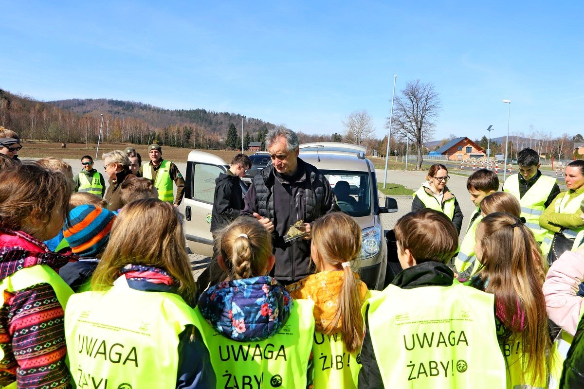 edukacja-z-kpn-104731