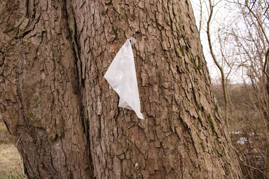 Koszulka fruwająca na wietrze