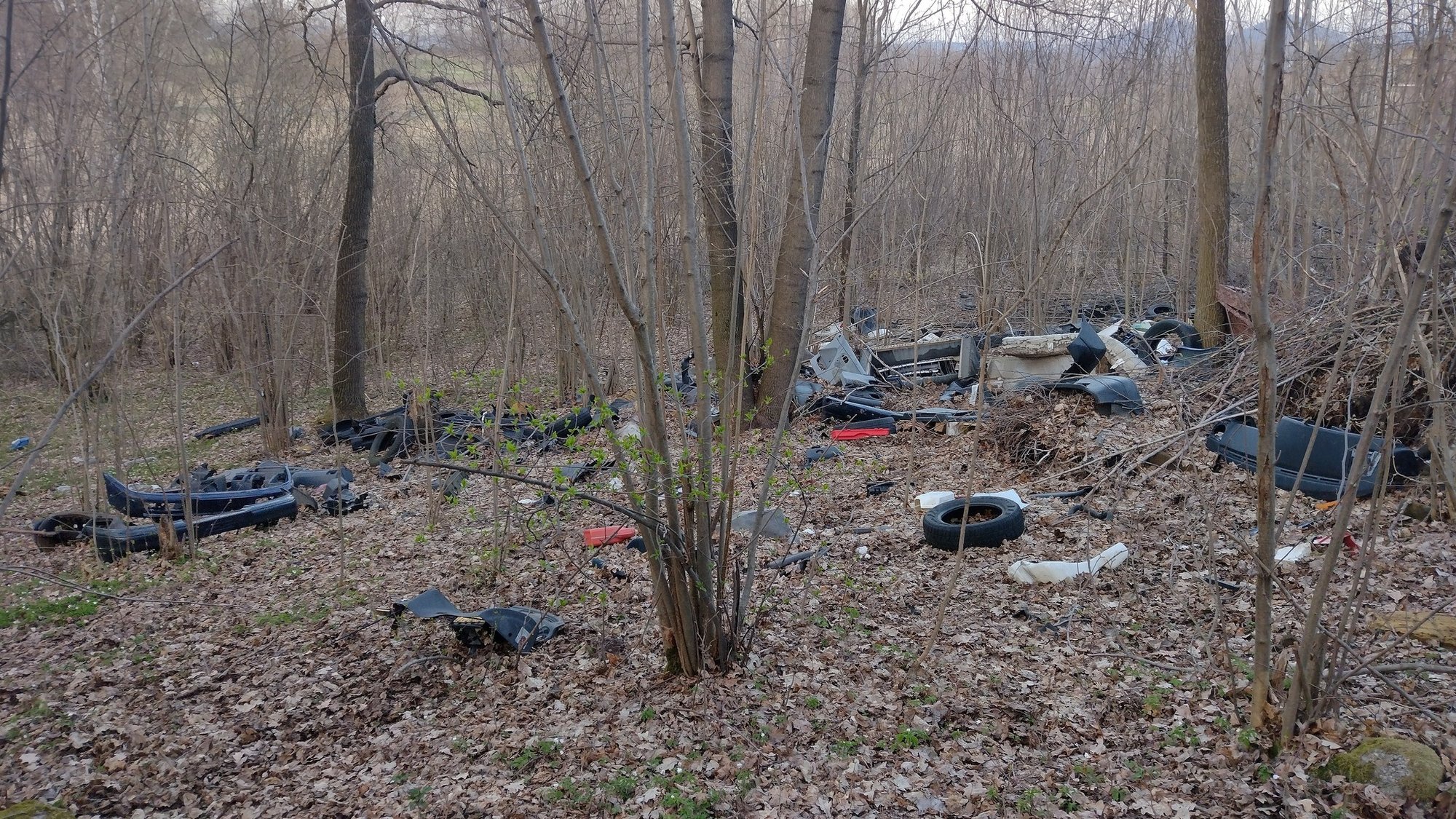 ktos-podrzuca-smieci-104796