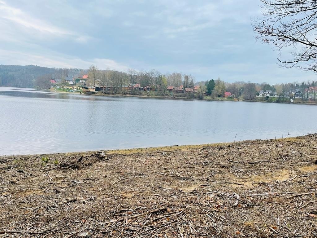sprzatanie-brzegow-jeziora-zotnickiego-105021