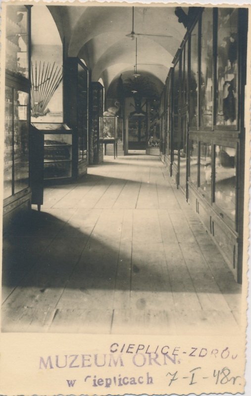trudne-poczatki-muzeum-przyrodniczego-105022