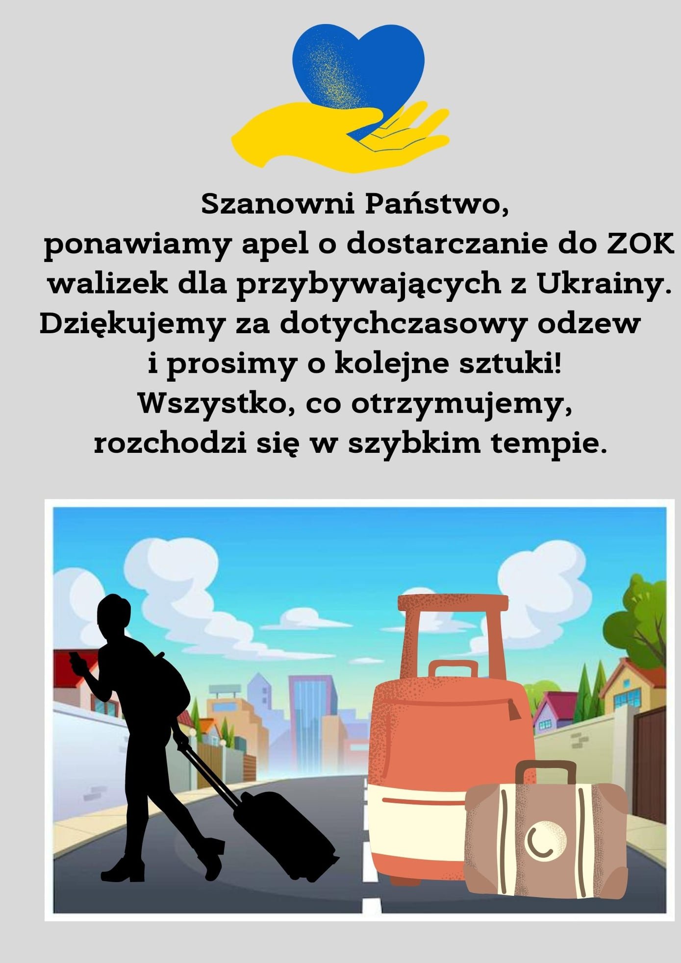 zbiorka-walizek-105068