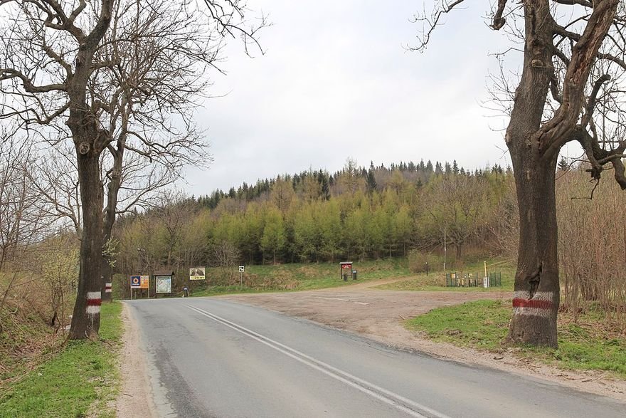 remont-sie-przeduza-105085