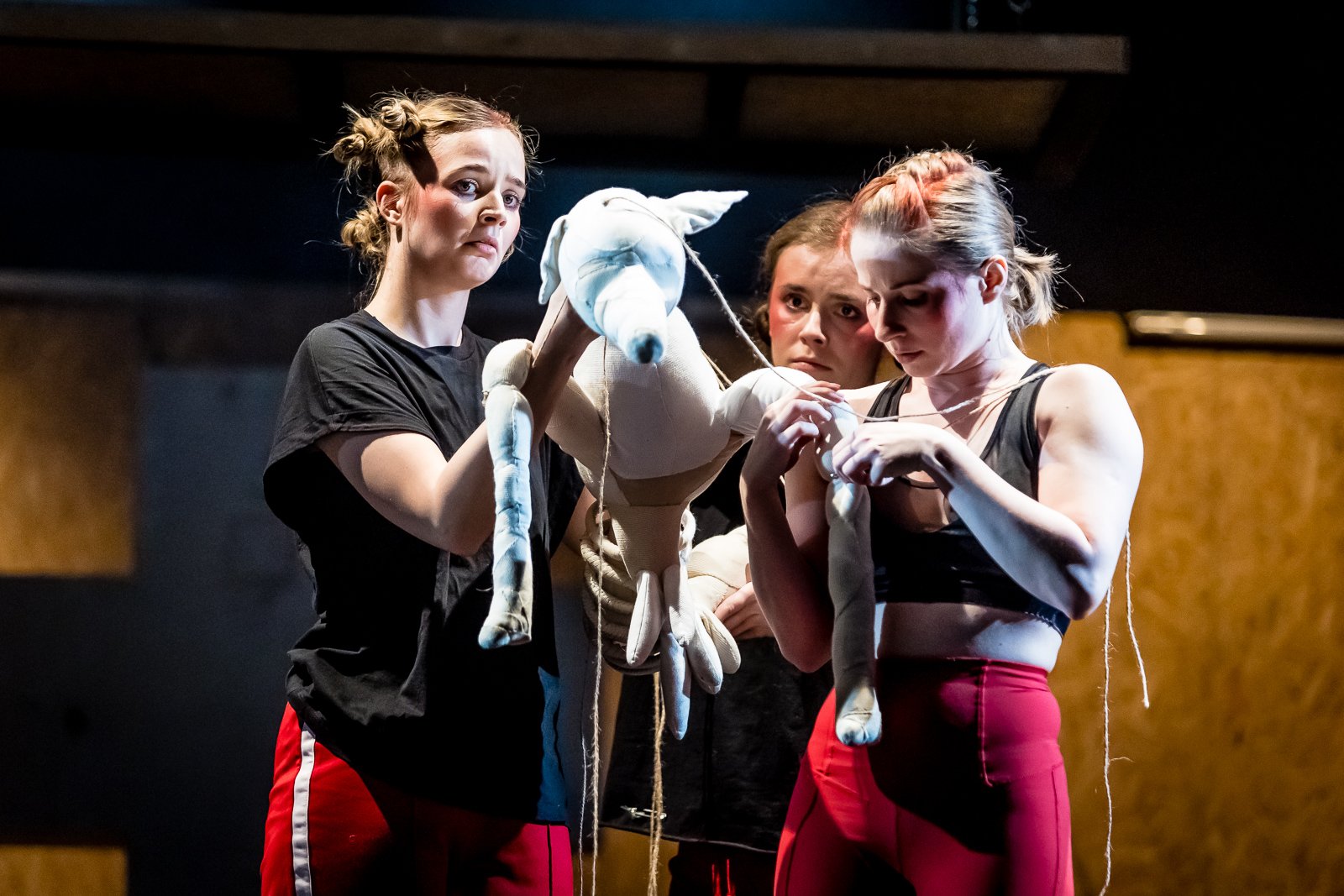 festiwal-pestka-wystartowa-105120