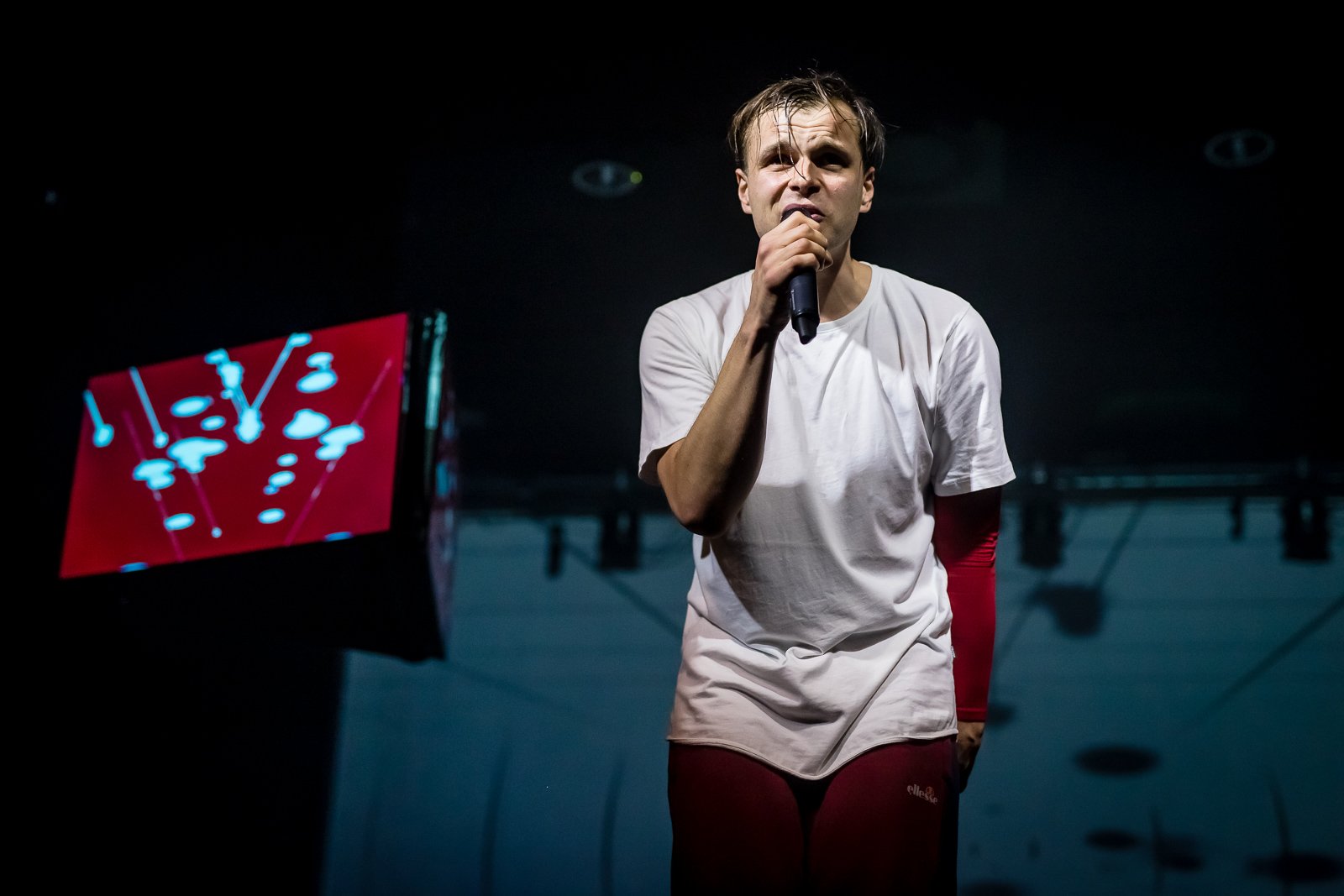 pestka-na-pometku-105274