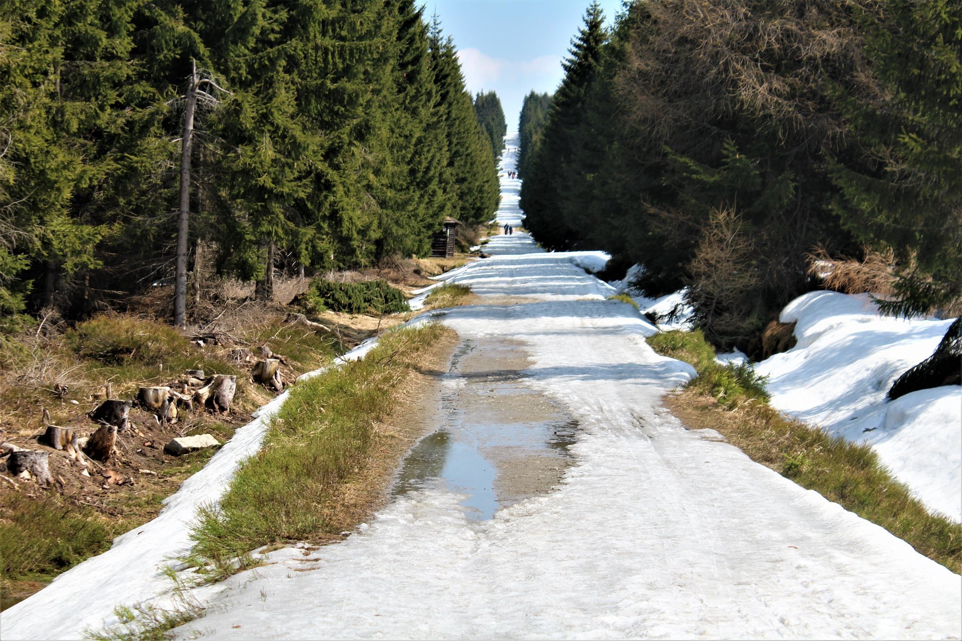 po-sezonie-na-biegowki-105307