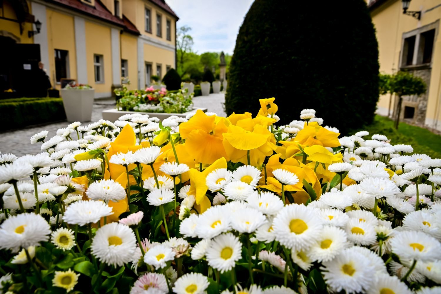 zamek-tonie-w-kwiatach-105523