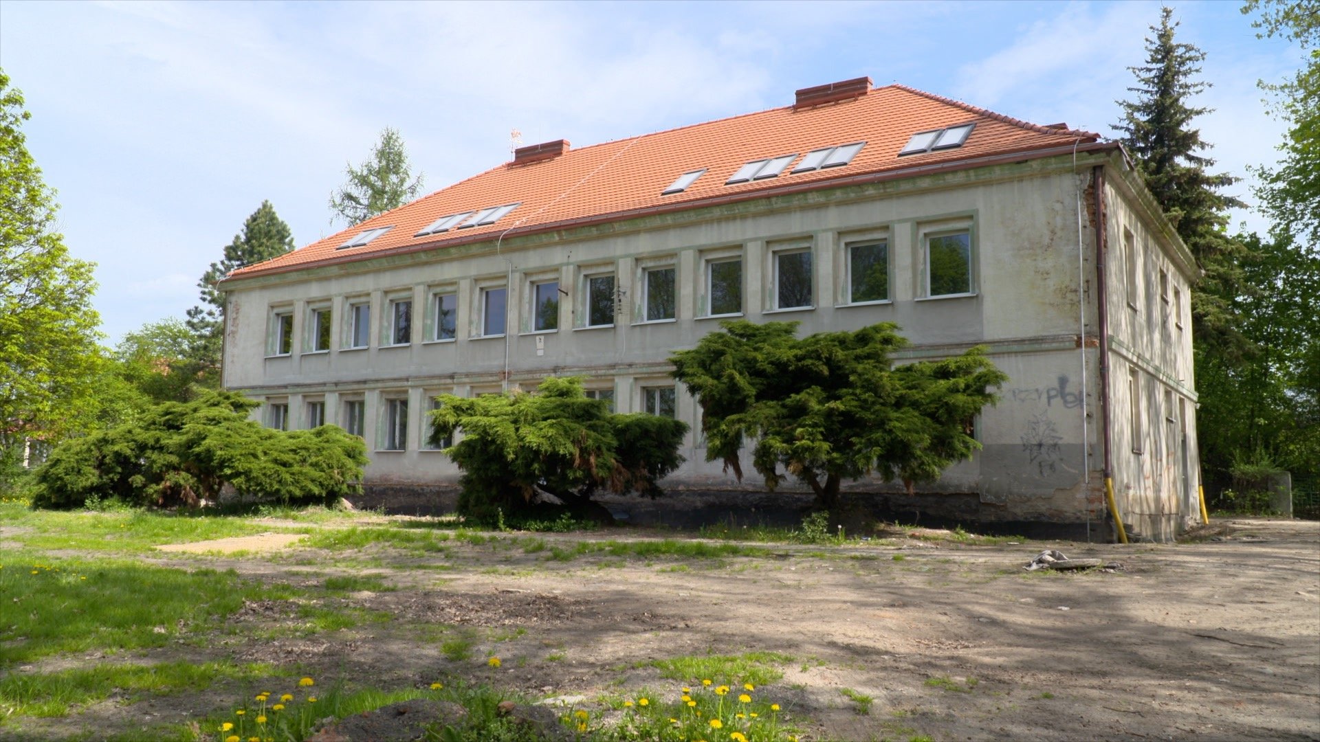 remont-zobka-miejskiego-bez-wykonawcy-105533